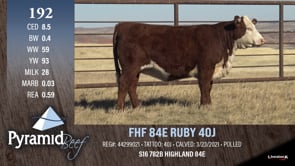 Lot #192 - FHF 84E RUBY 40J