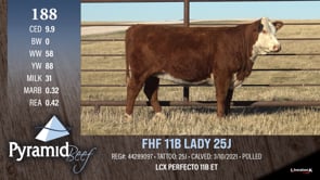 Lot #188 - FHF 11B LADY 25J
