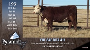 Lot #193 - FHF 84E RITA 41J
