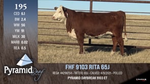 Lot #195 - FHF 9103 RITA 65J