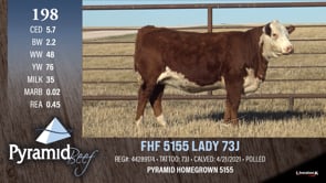 Lot #198 - FHF 5155 LADY 73J