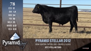 Lot #78 - PYRAMID STELLAR 2012