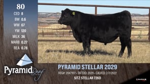 Lot #80 - PYRAMID STELLAR 2029