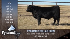 Lot #77 - PYRAMID STELLAR 2009