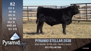 Lot #82 - PYRAMID STELLAR 2038
