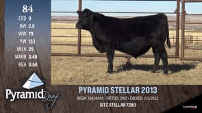 Lot #84 - PYRAMID STELLAR 2013