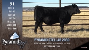 Lot #91 - PYRAMID STELLAR 2030