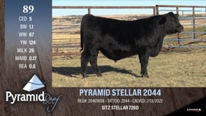 Lot #89 - PYRAMID STELLAR 2044