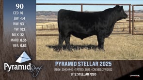 Lot #90 - PYRAMID STELLAR 2025