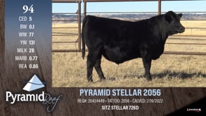 Lot #94 - PYRAMID STELLAR 2056
