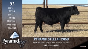 Lot #92 - PYRAMID STELLAR 2050