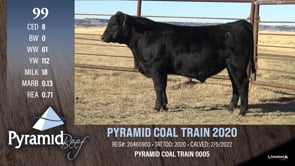Lot #99 - PYRAMID COAL TRAIN 2020
