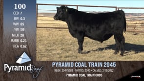 Lot #100 - PYRAMID COAL TRAIN 2045