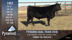 Lot #102 - PYRAMID COAL TRAIN 2016