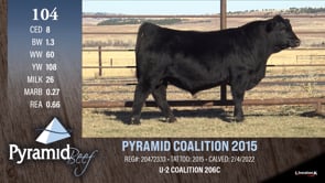 Lot #104 - PYRAMID COALITION 2015