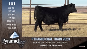 Lot #101 - PYRAMID COAL TRAIN 2023