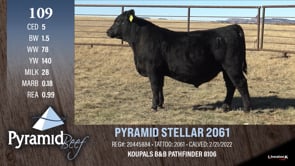 Lot #109 - PYRAMID STELLAR 2061