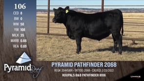 Lot #106 - PYRAMID PATHFINDER 2068