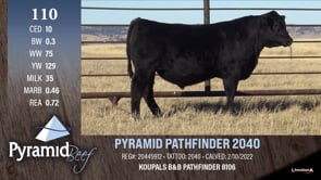 Lot #110 - PYRAMID PATHFINDER 2040