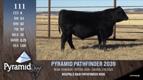 Lot #111 - PYRAMID PATHFINDER 2039