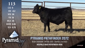 Lot #113 - PYRAMID PATHFINDER 2072