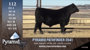 Lot #112 - PYRAMID PATHFINDER 2041
