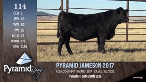Lot #114 - PYRAMID JAMESON 2017