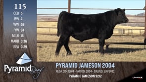 Lot #115 - PYRAMID JAMESON 2004