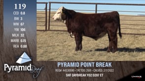 Lot #119 - PYRAMID POINT BREAK
