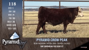 Lot #118 - PYRAMID CROW PEAK