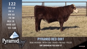 Lot #122 - PYRAMID RED DIRT