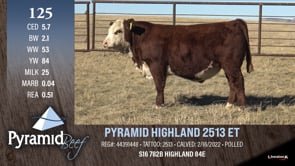 Lot #125 - PYRAMID HIGHLAND 2513 ET