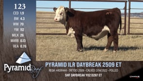 Lot #123 - PYRAMID ILR DAYBREAK 2509 ET