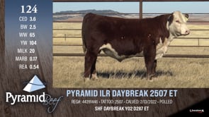 Lot #124 - PYRAMID ILR DAYBREAK 2507 ET