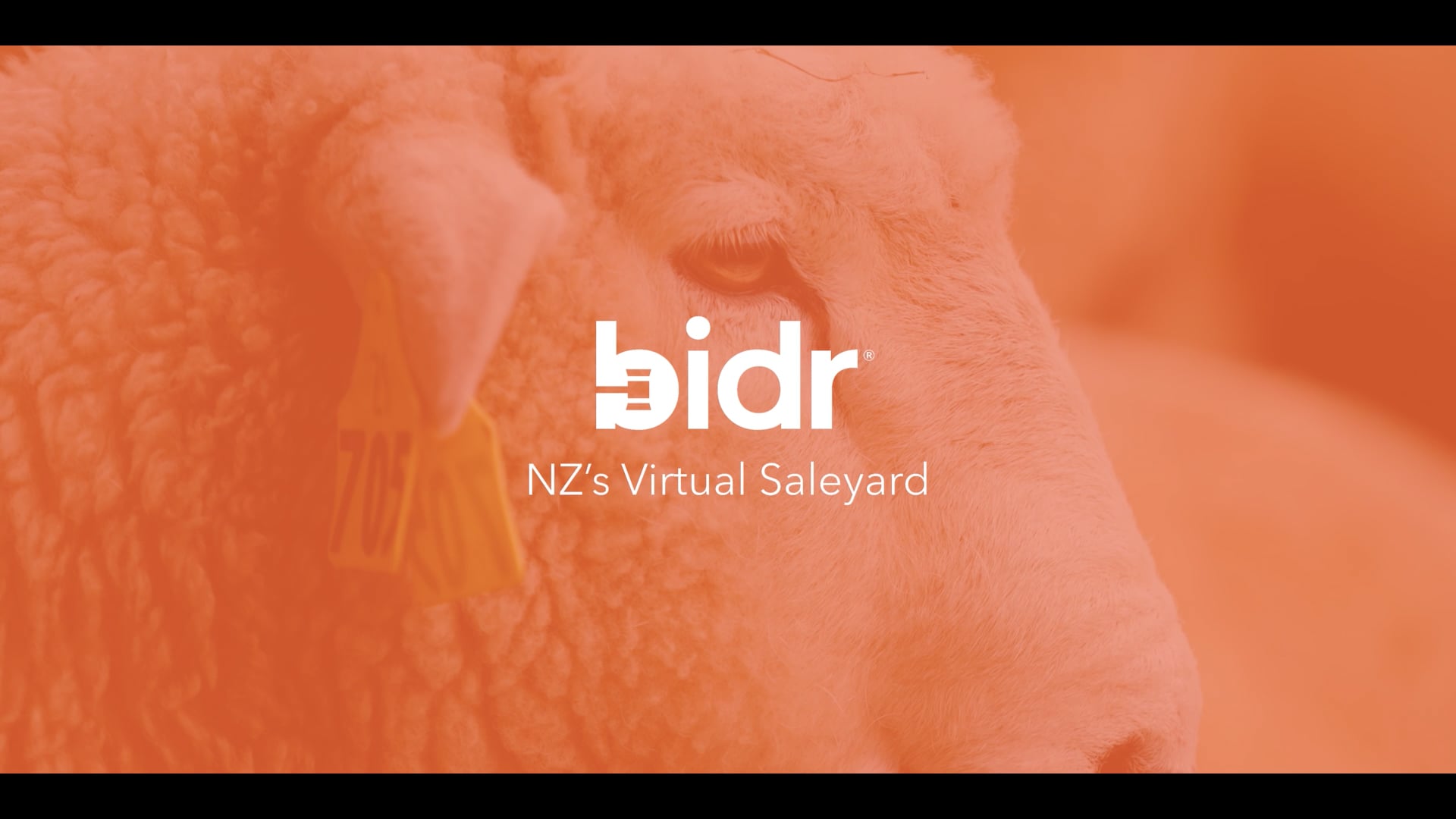 Bidr - Rams