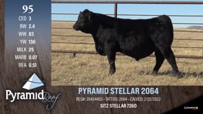 Lot #95 - PYRAMID STELLAR 2064