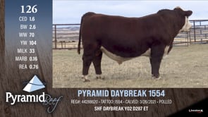 Lot #126 - PYRAMID DAYBREAK 1554