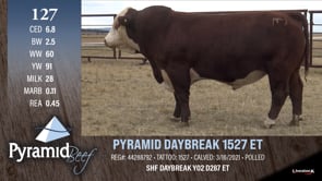Lot #127 - PYRAMID DAYBREAK 1527 ET