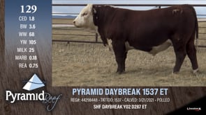 Lot #129 - PYRAMID DAYBREAK 1537 ET