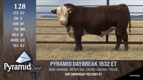 Lot #128 - PYRAMID DAYBREAK 1532 ET