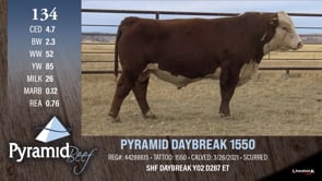 Lot #134 - PYRAMID DAYBREAK 1550