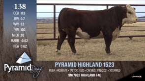 Lot #138 - PYRAMID HIGHLAND 1523