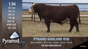 Lot #136 - PYRAMID HIGHLAND 1516