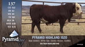 Lot #137 - PYRAMID HIGHLAND 1520