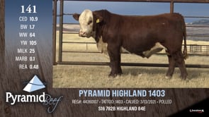 Lot #141 - PYRAMID HIGHLAND 1403