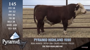 Lot #145 - PYRAMID HIGHLAND 1590