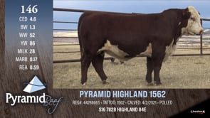 Lot #146 - PYRAMID HIGHLAND 1562