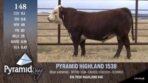 Lot #148 - PYRAMID HIGHLAND 1538