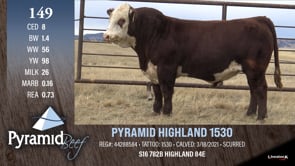 Lot #149 - PYRAMID HIGHLAND 1530