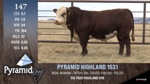 Lot #147 - PYRAMID HIGHLAND 1531